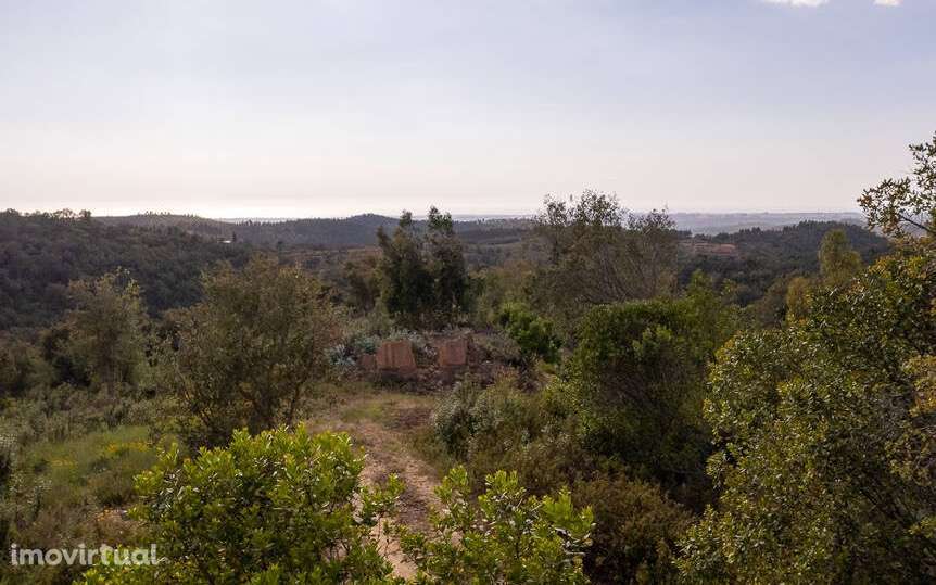 Quintinha Cercas do Pontal - Grande imagem: 2/7