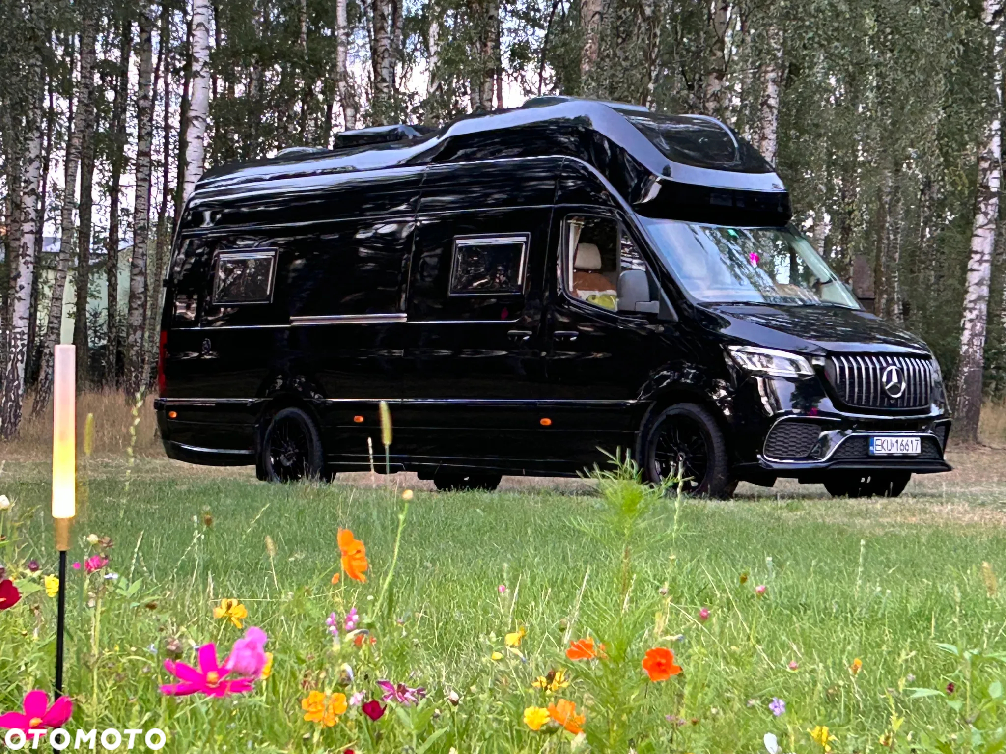 Mercedes-Benz SPRINTER 319 - 2