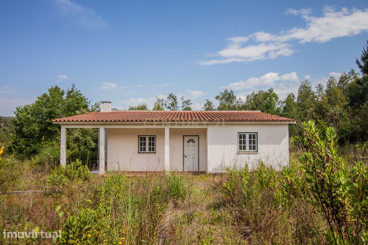 Propriedade rural de 5 hectares e construção - Souselas, Coimbra - Grande imagem: 2/32