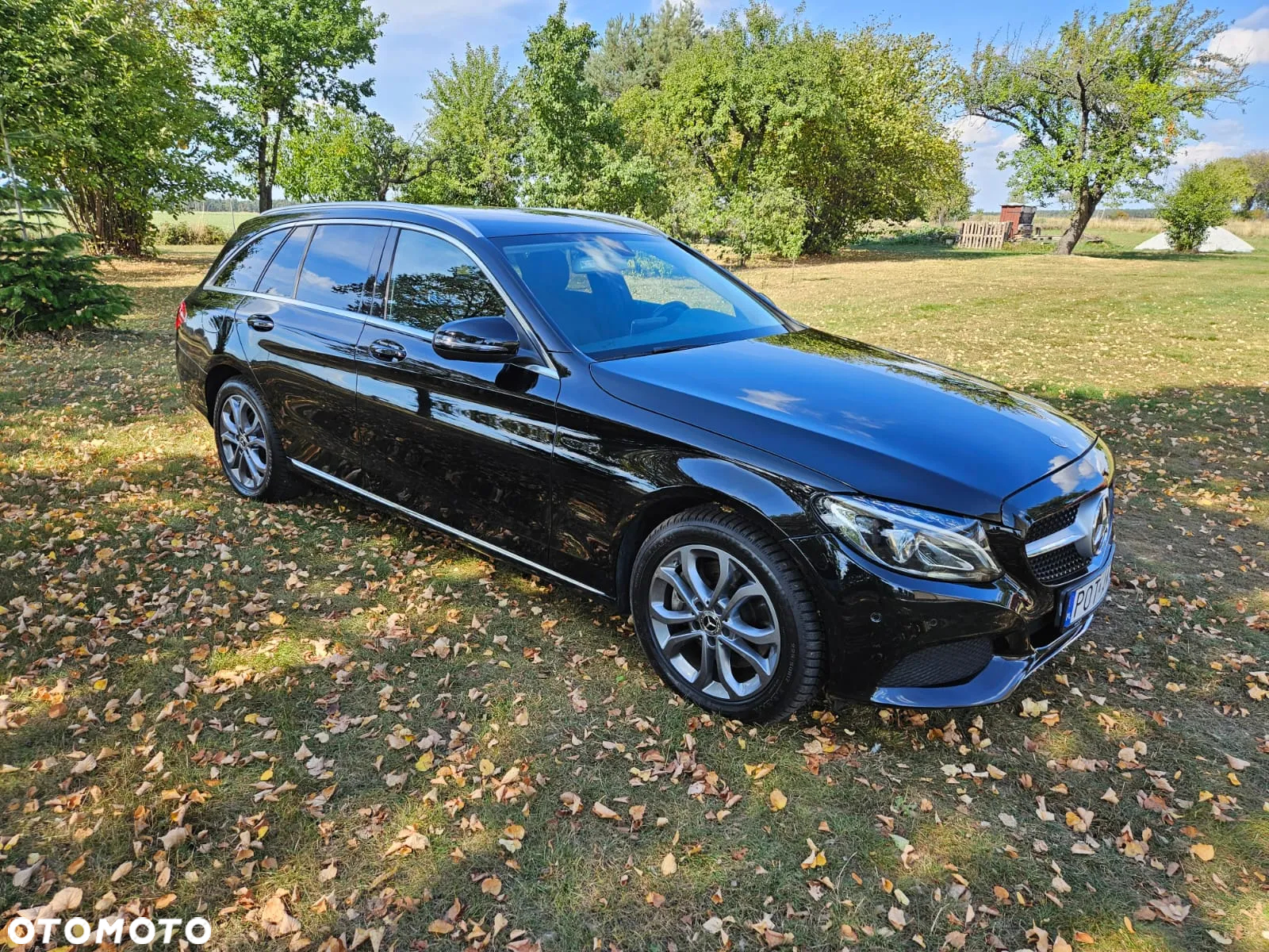 Mercedes-Benz Klasa C 250 d 4-Matic 9G-TRONIC - 12