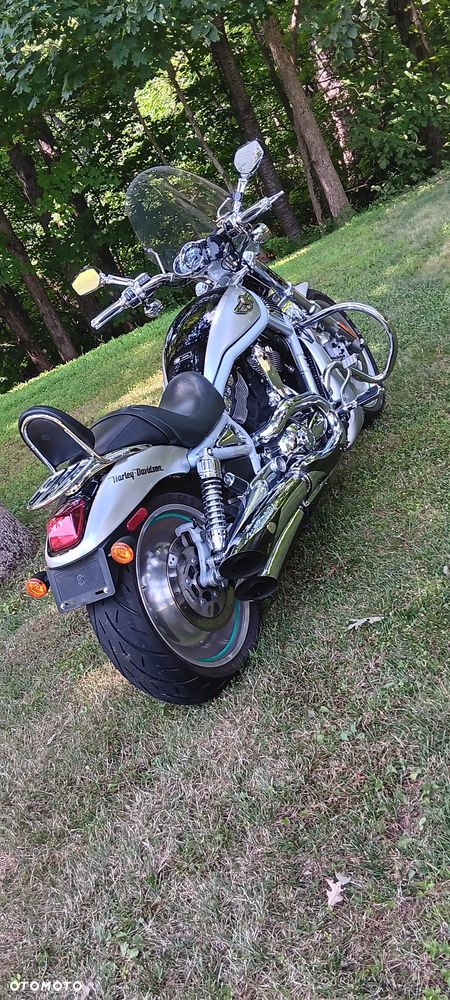 Harley-Davidson V-Rod Street Rod - 13