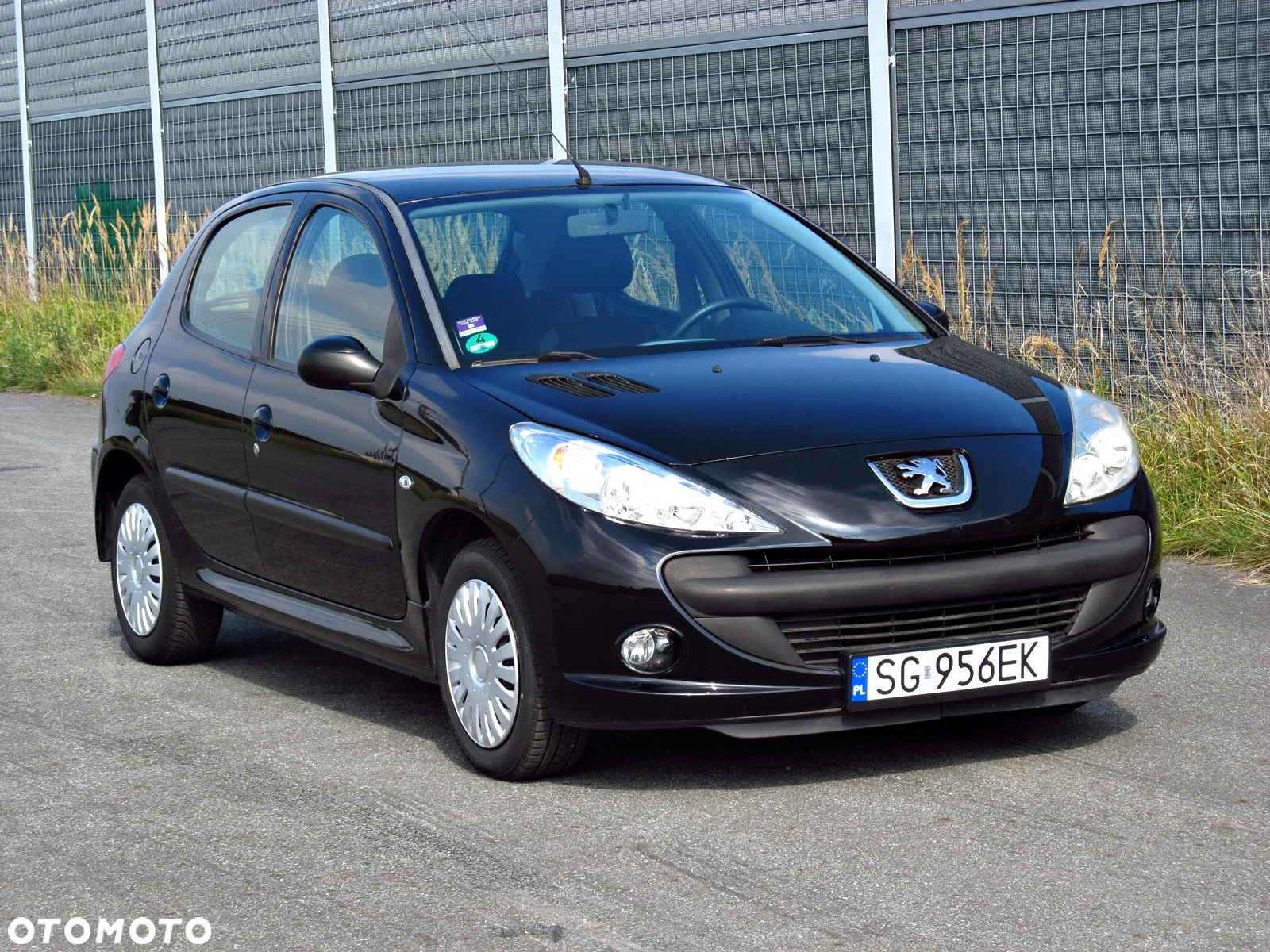 Peugeot 206 plus - 10