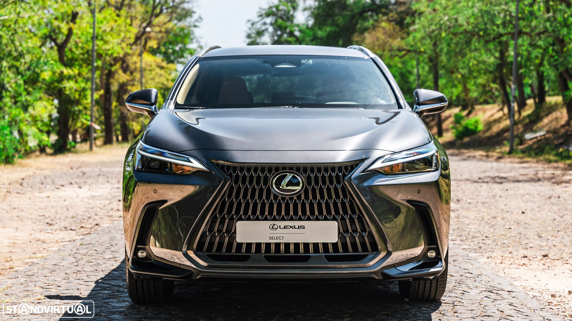 Lexus NX 450h+ Executive - 2