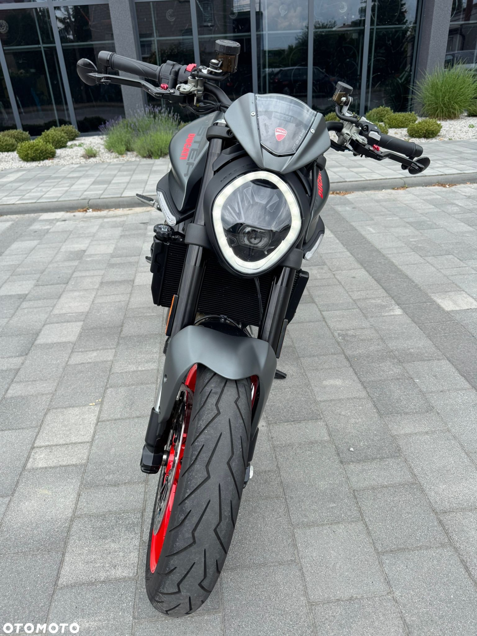 Ducati Monster - 6