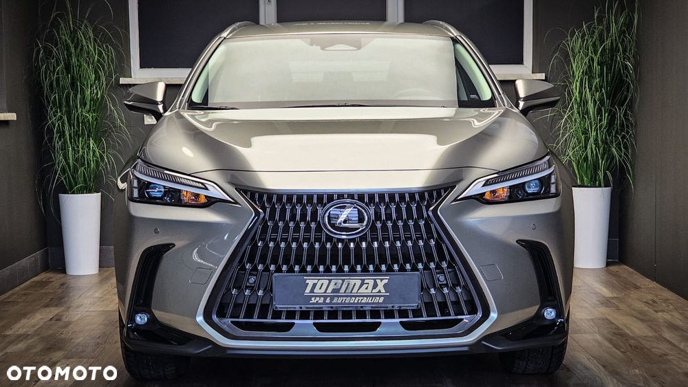Lexus NX 350h Prestige 2WD - 2