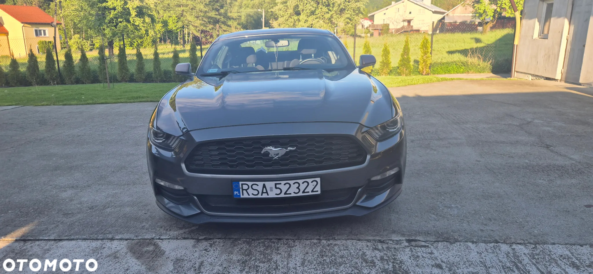 Ford Mustang - 9
