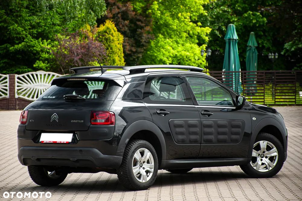 Citroën C4 Cactus PureTech 82 Shine Edition - 13