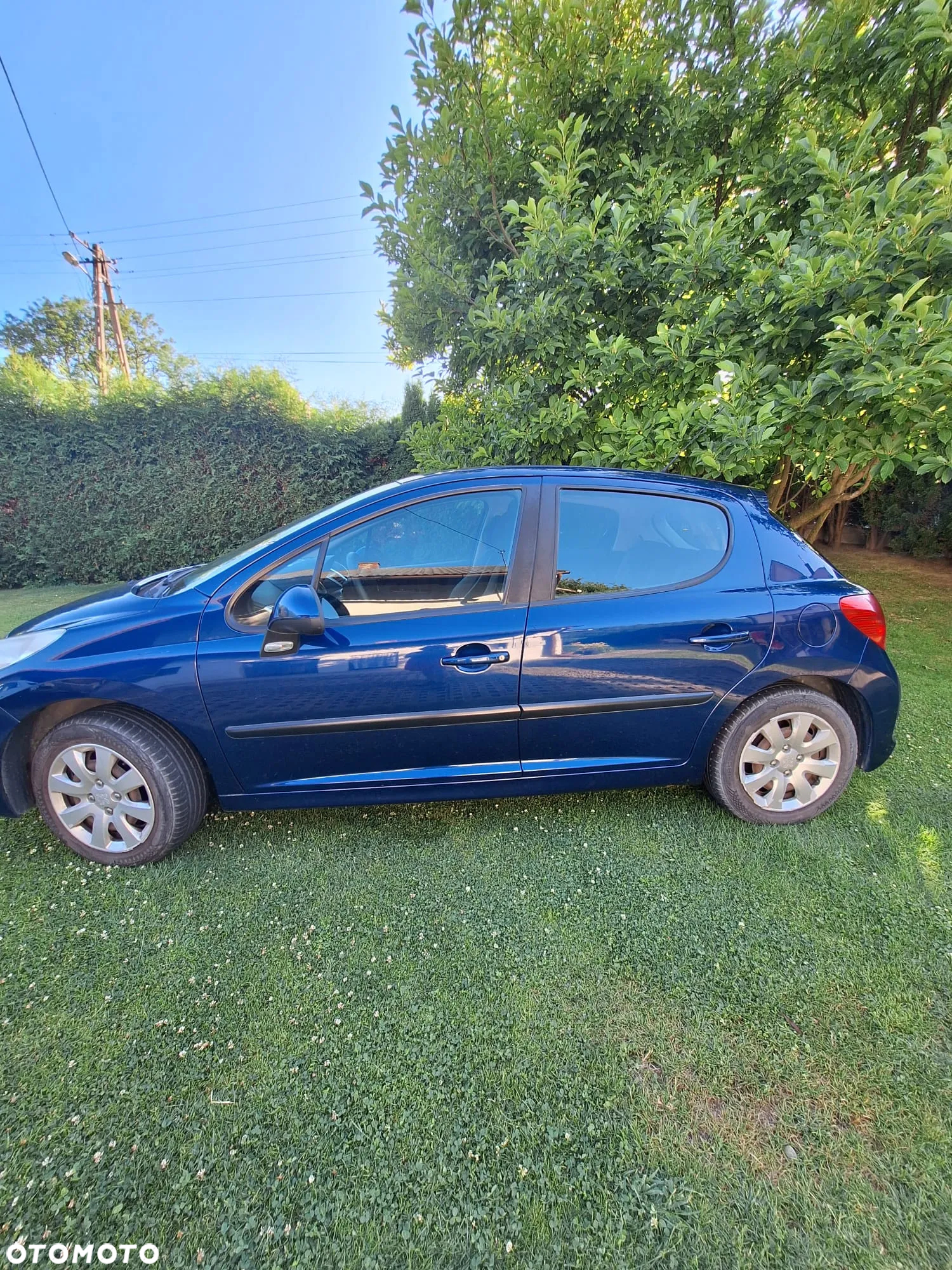 Peugeot 207 - 7