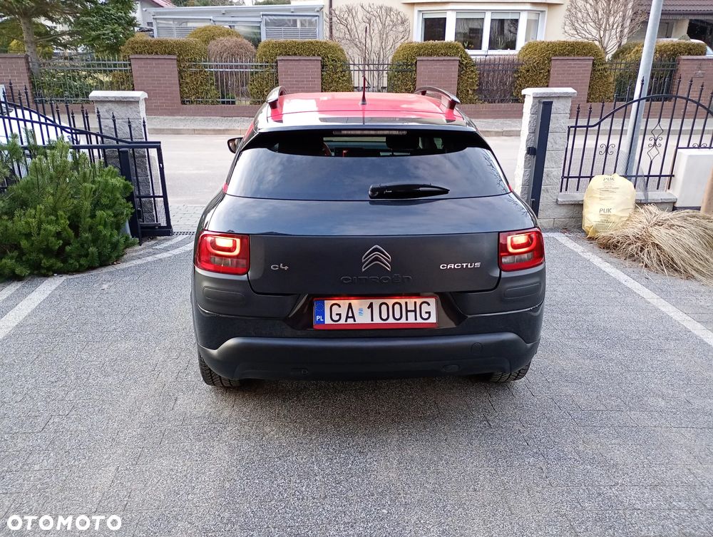 Citroën C4 Cactus PureTech 82 Shine - 11