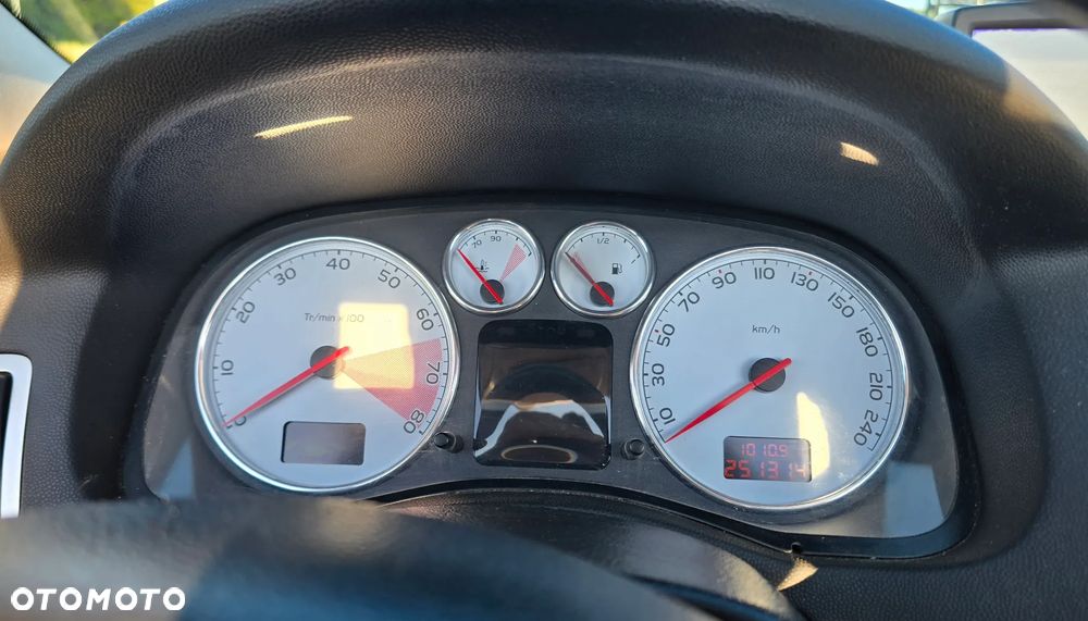 Peugeot 307 2.0 Sporty - 18