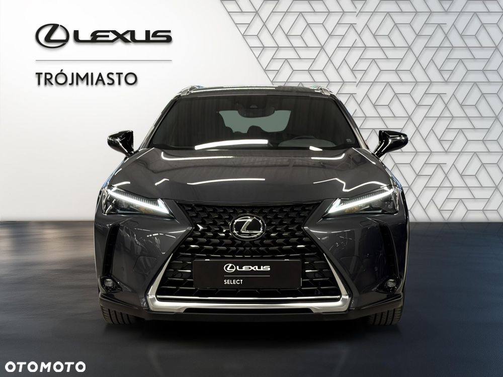 Lexus UX 250h GPF Business 2WD - 9