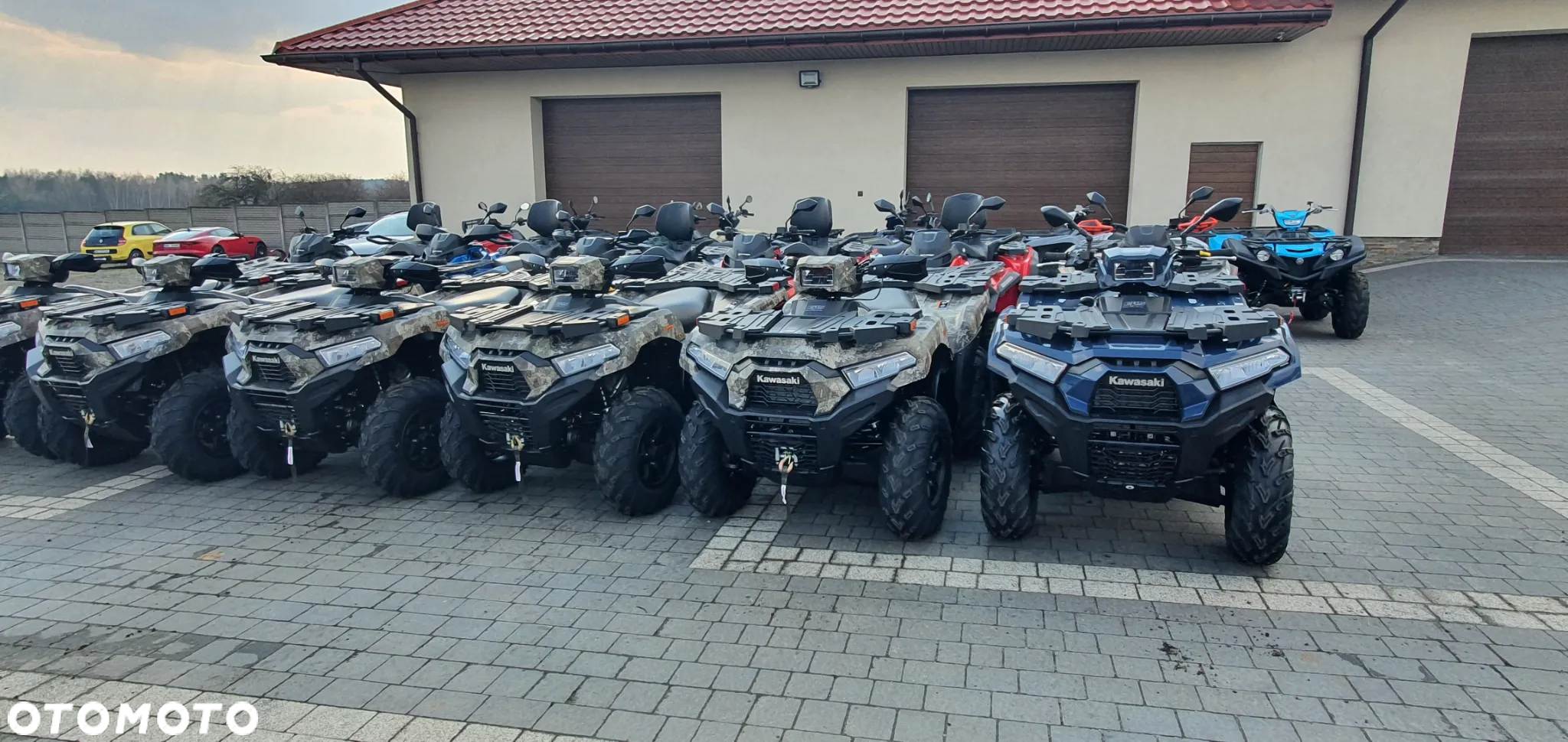 Kawasaki Brute Force