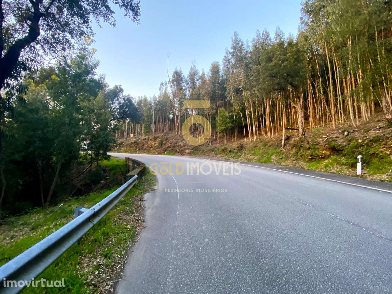 Terreno Florestal - Grande imagem: 5/7