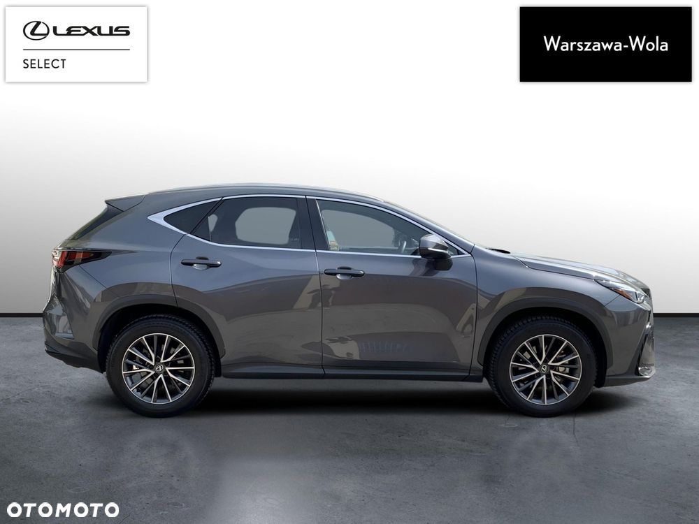 Lexus NX - 8