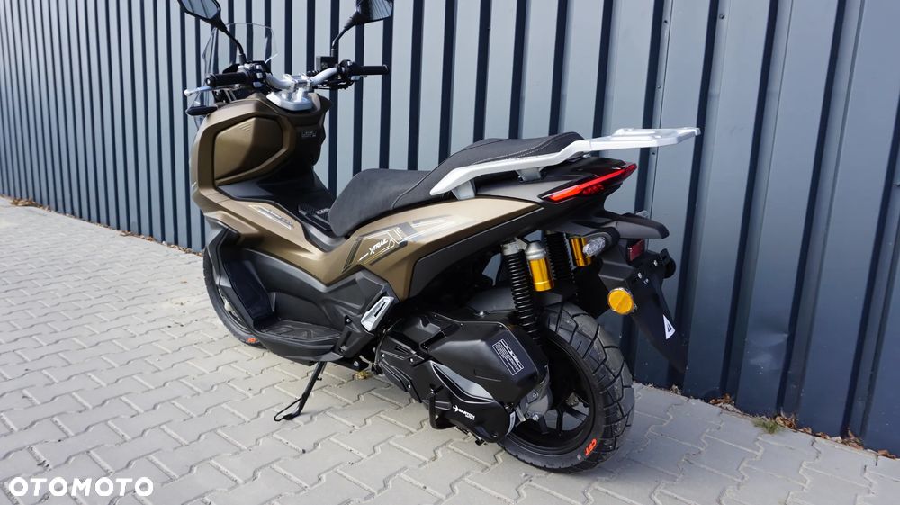 Barton X-Trail - 6