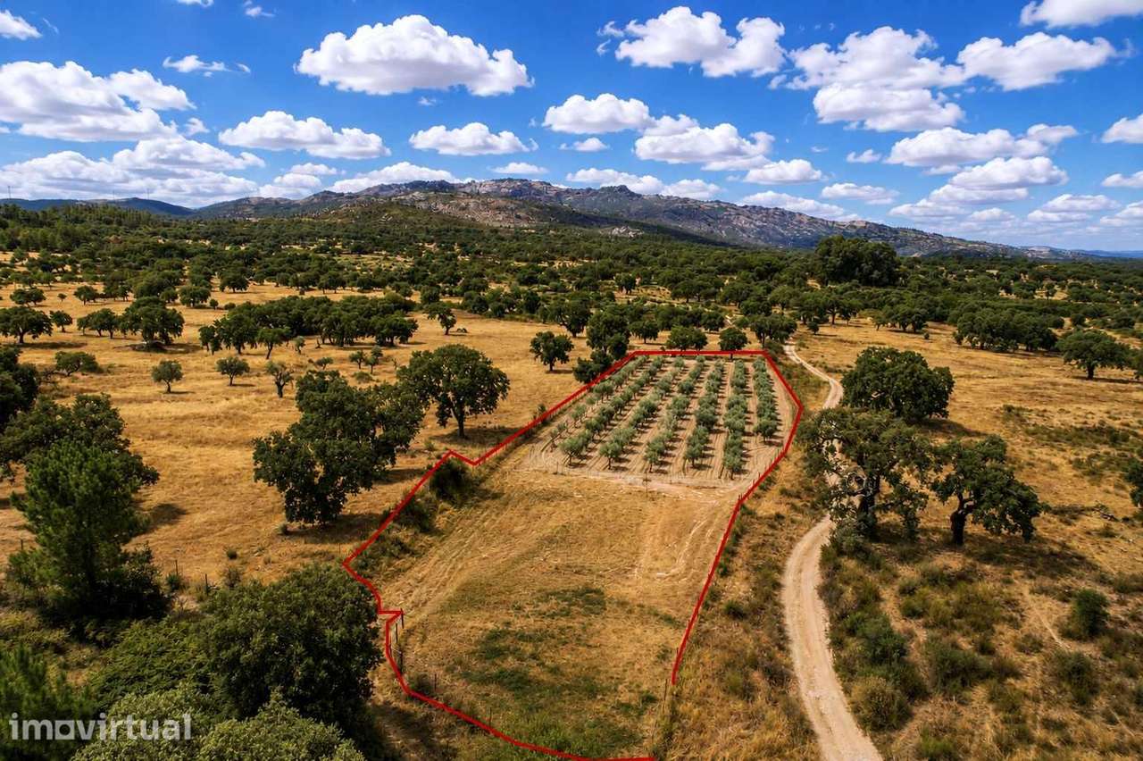 Terreno - Grande imagem: 2/8