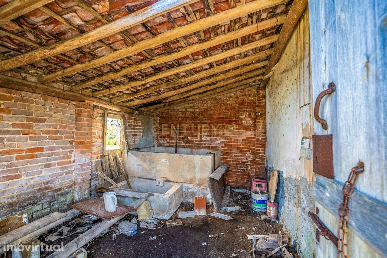 Ruina | Lagoa Parceira | Caldas da Rainha - Grande imagem: 5/18