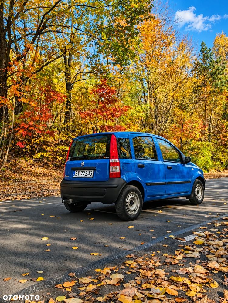Fiat Panda - 5