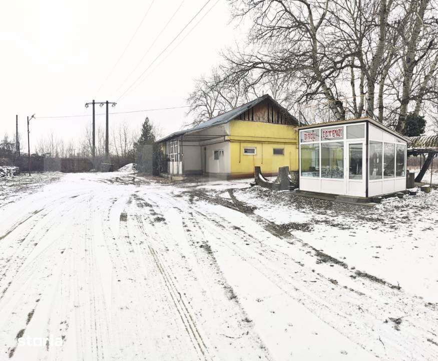 Domeniu privat, 12.500 mp teren, satul Viisoara - Targoviste - Imagine principală: 4/19
