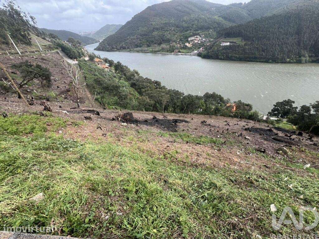 Terreno em Sebolido - Grande imagem: 4/12