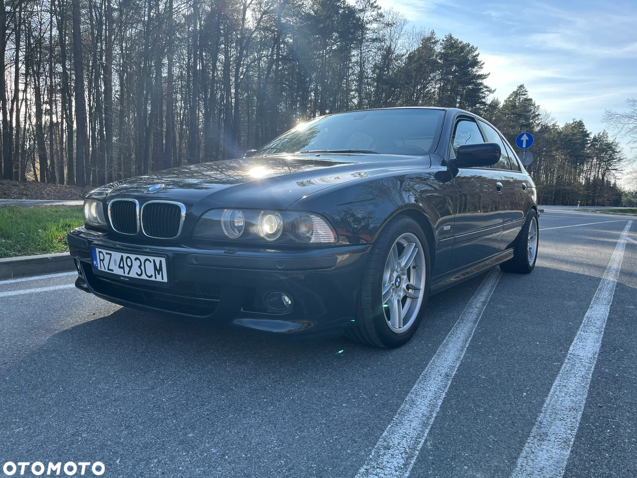 BMW Seria 5 - 33