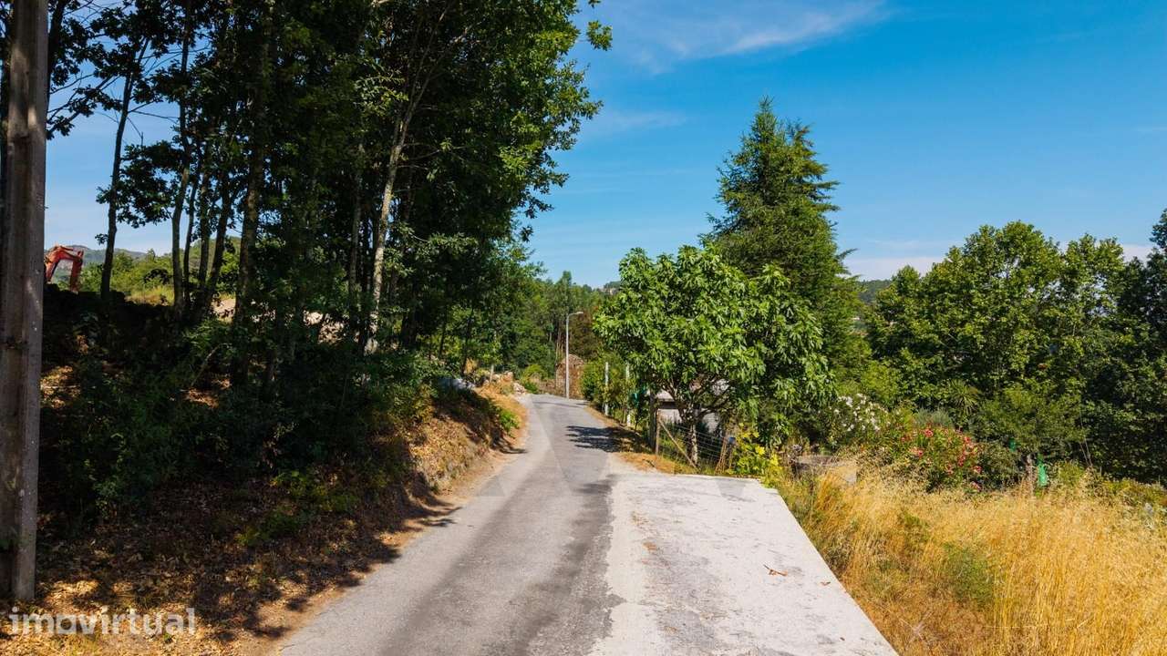 Quinta da Cachada, com 1.6 Hectares, Ruína de 246 m2 e Margem de Rio e - Grande imagem: 3/21