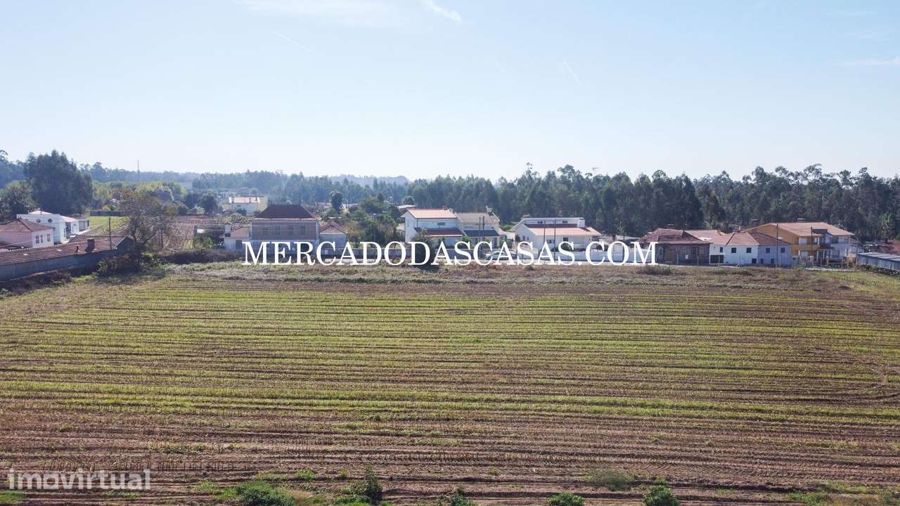 Terreno c/ 16,560m2 - São Miguel de Souto - Grande imagem: 4/14