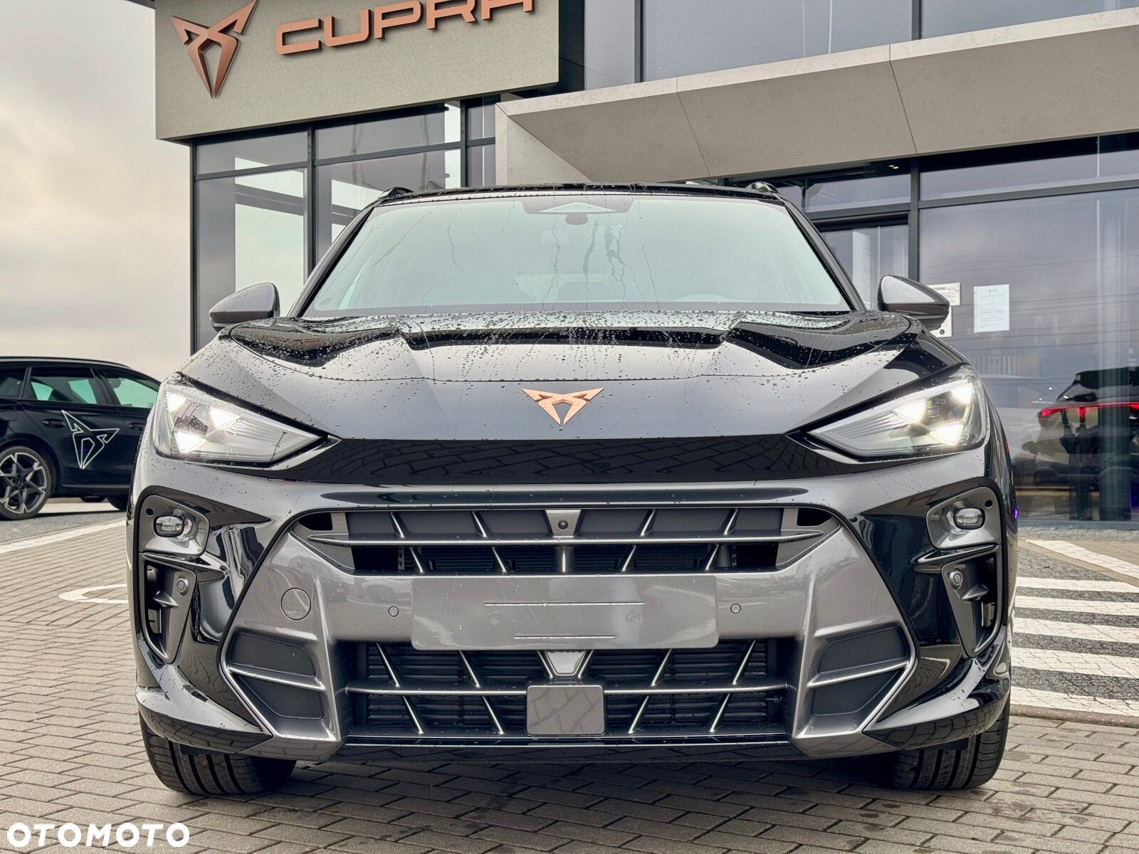 Cupra Terramar 2.0 TSI 4Drive DSG - 8