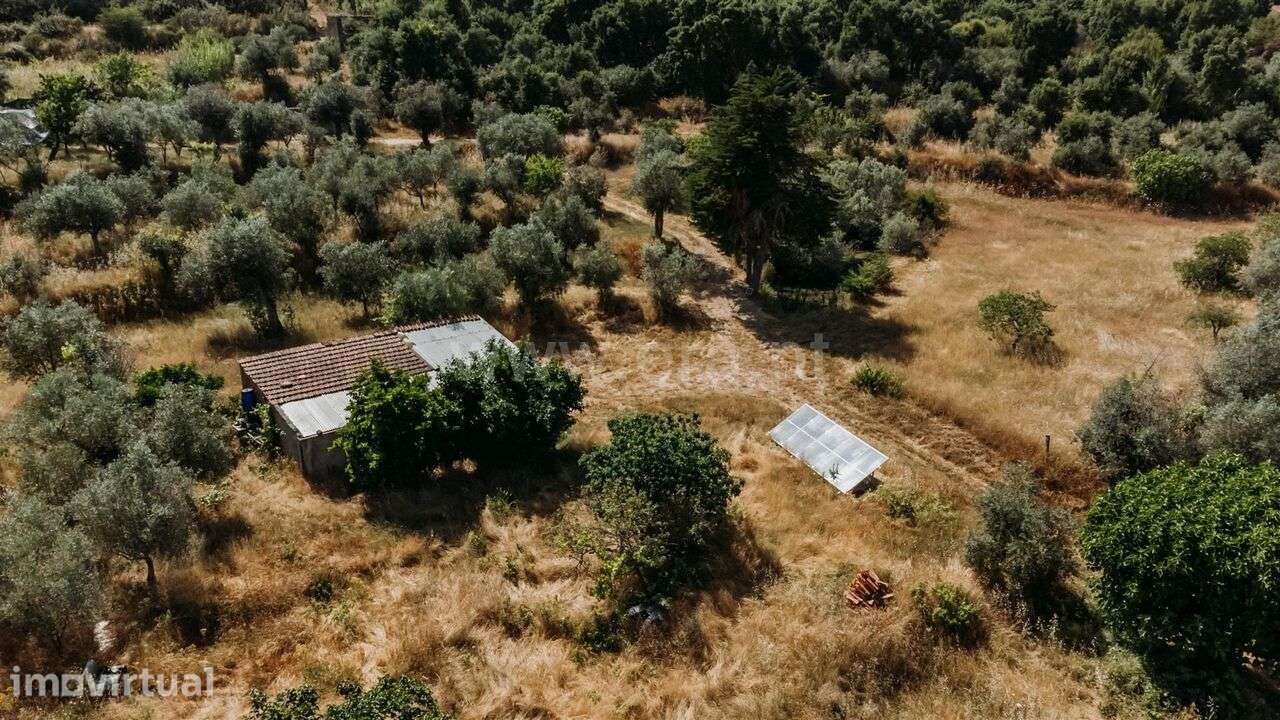 Quintinha T1 / Fundão, Telhado - Grande imagem: 5/12