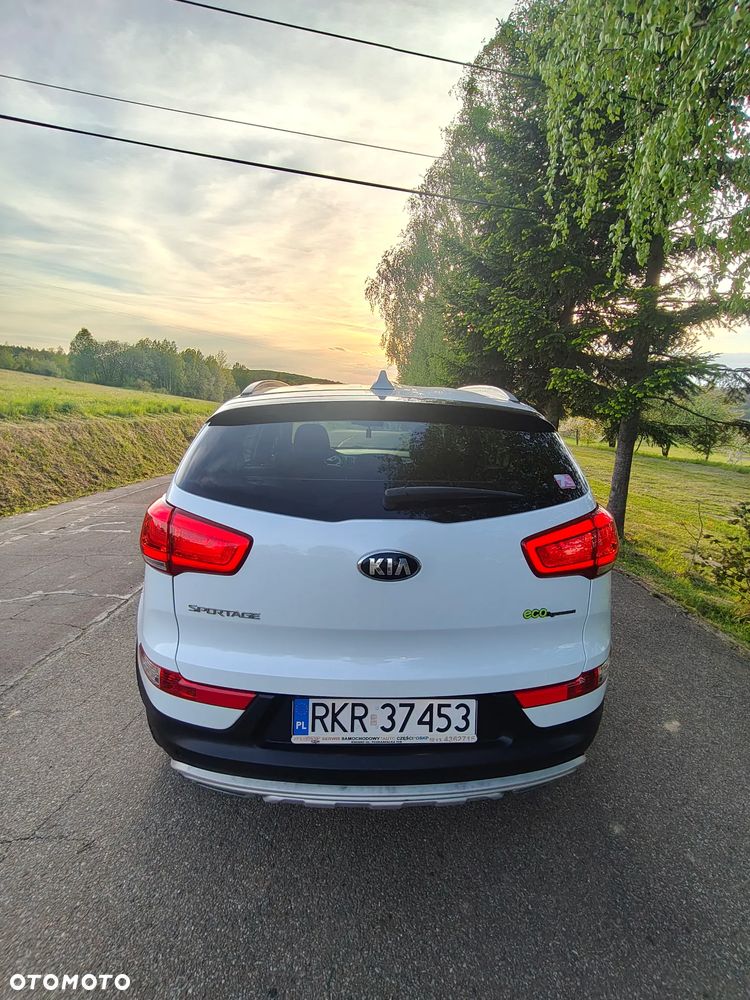 Kia Sportage - 19