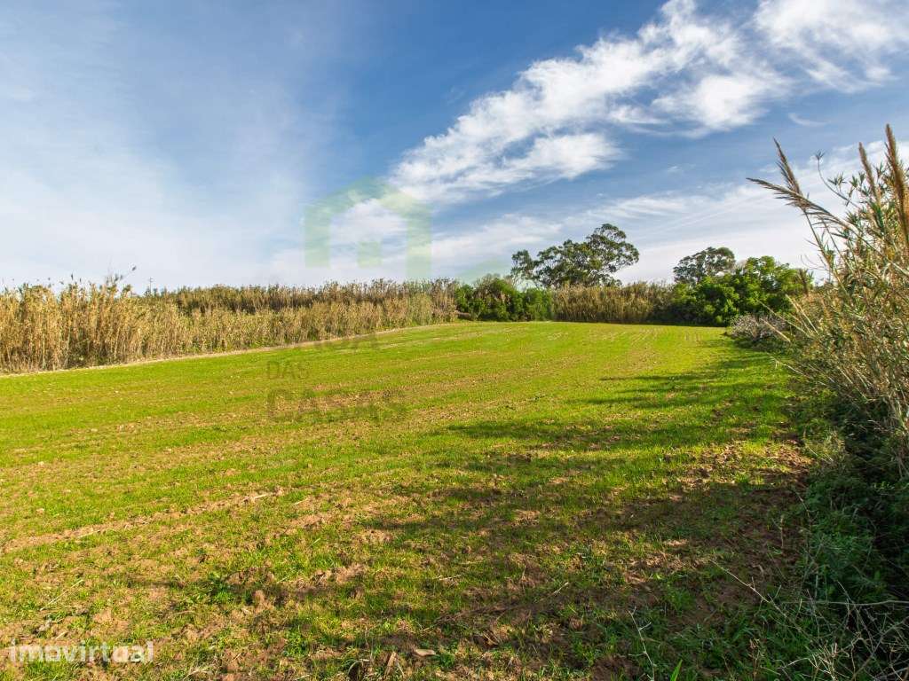 Vende Terreno - Ericeira 13 km, A Casa das Casas - Grande imagem: 2/11