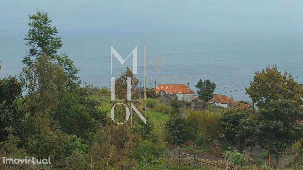 Terreno em Santa Cruz - Grande imagem: 5/15