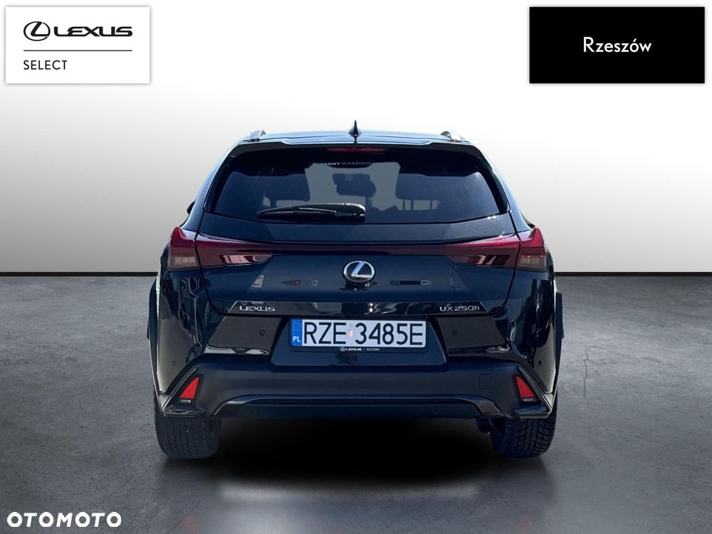 Lexus UX 250h GPF F Sport Design+ 2WD - 4