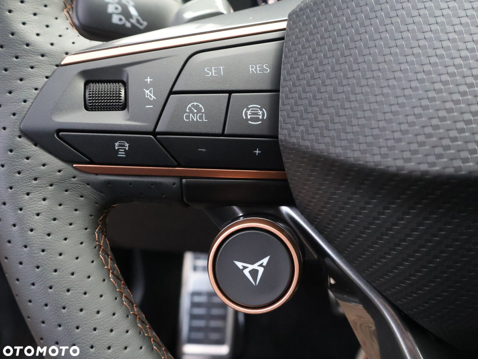 Cupra Formentor 1.5 eTSI mHEV DSG - 28