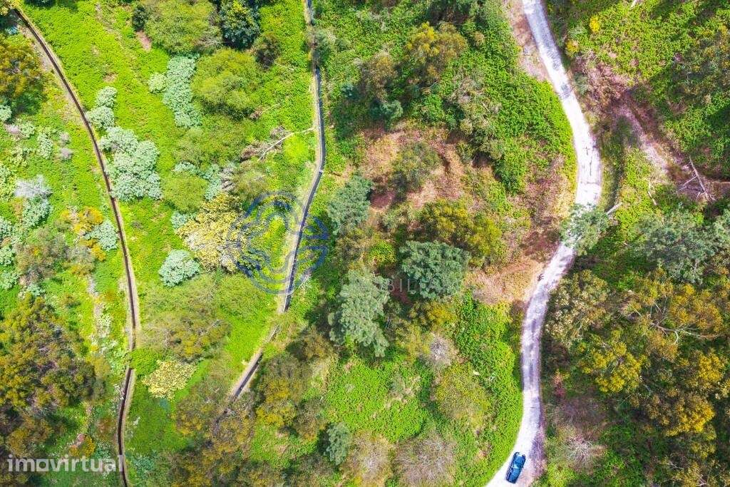 Terreno Rústico em Zona Natural e Agrícola — Freguesia de Santa Cruz, - Grande imagem: 2/15
