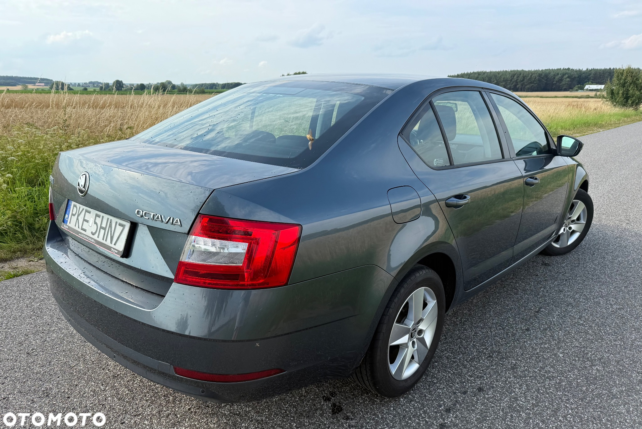 Skoda Octavia 1.6 TDI Active - 4