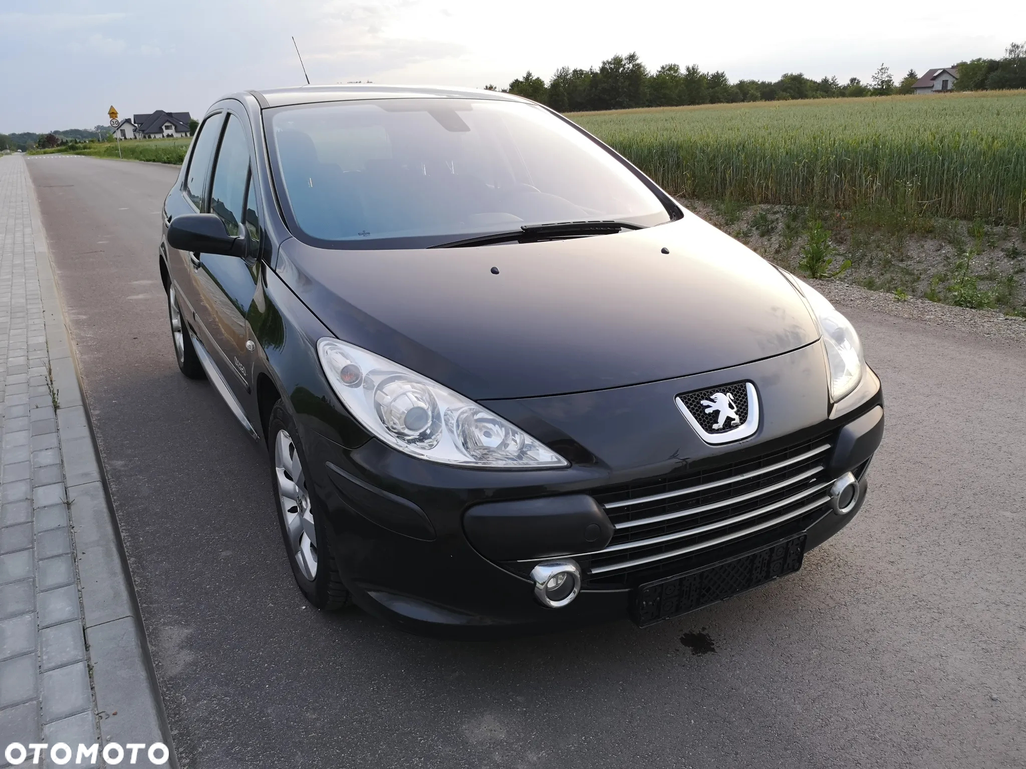 Peugeot 307 110 OXYGO - 38