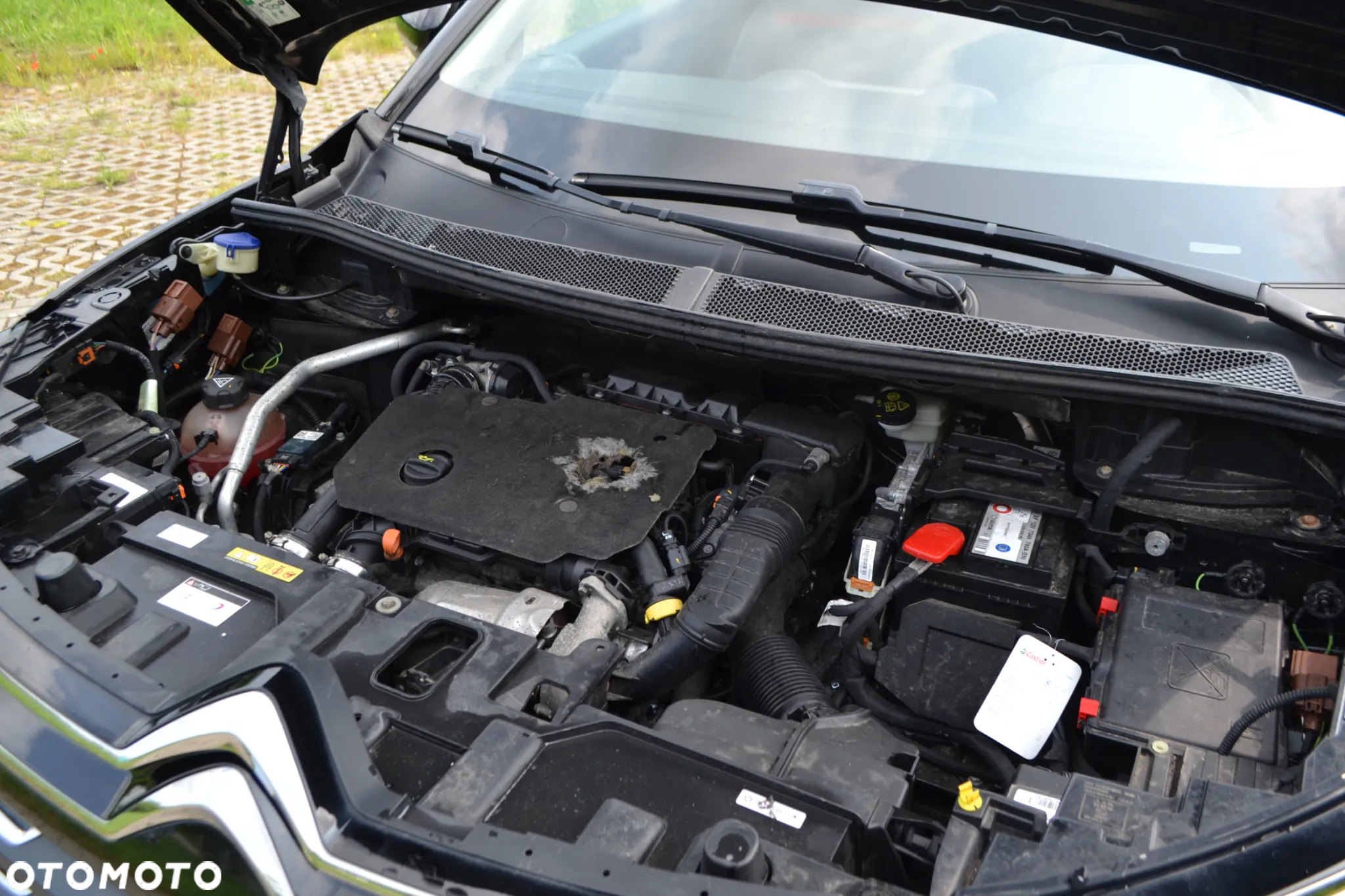 Citroën C5 Aircross BlueHDI 130 S&S EAT8 LIVE PACK - 31