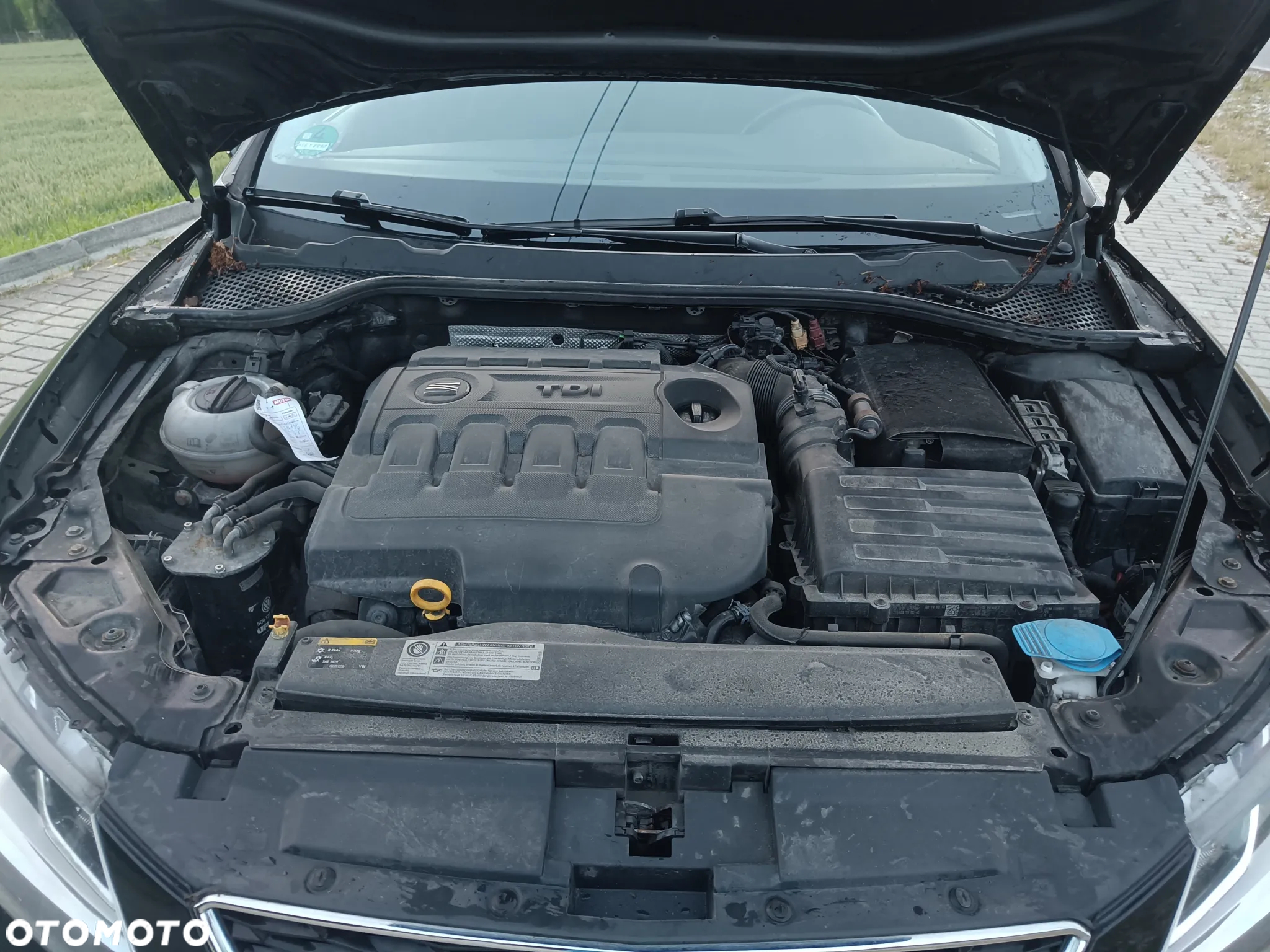 Seat Leon - 3