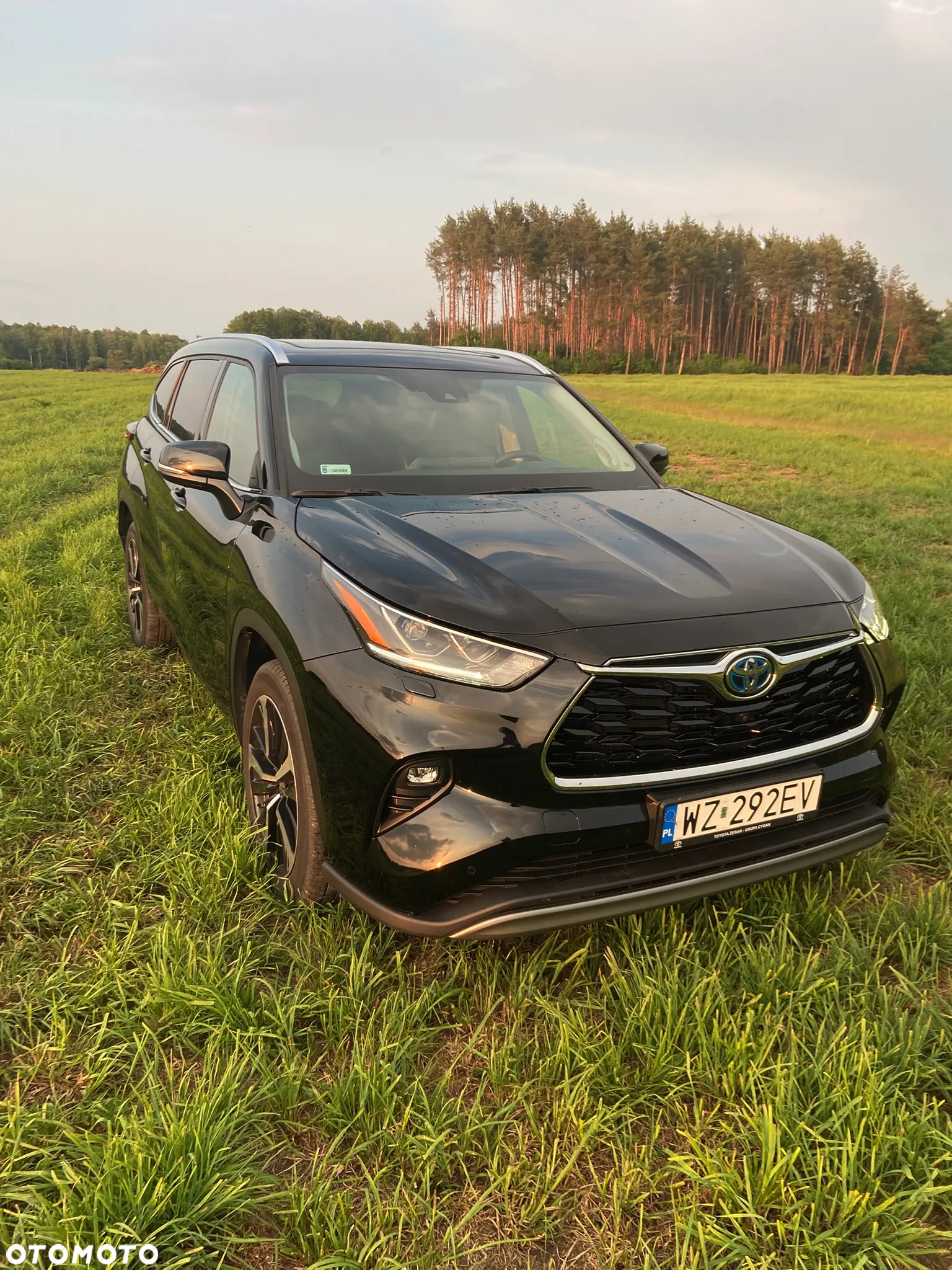 Toyota Highlander 2.5 Hybrid Executive - 5