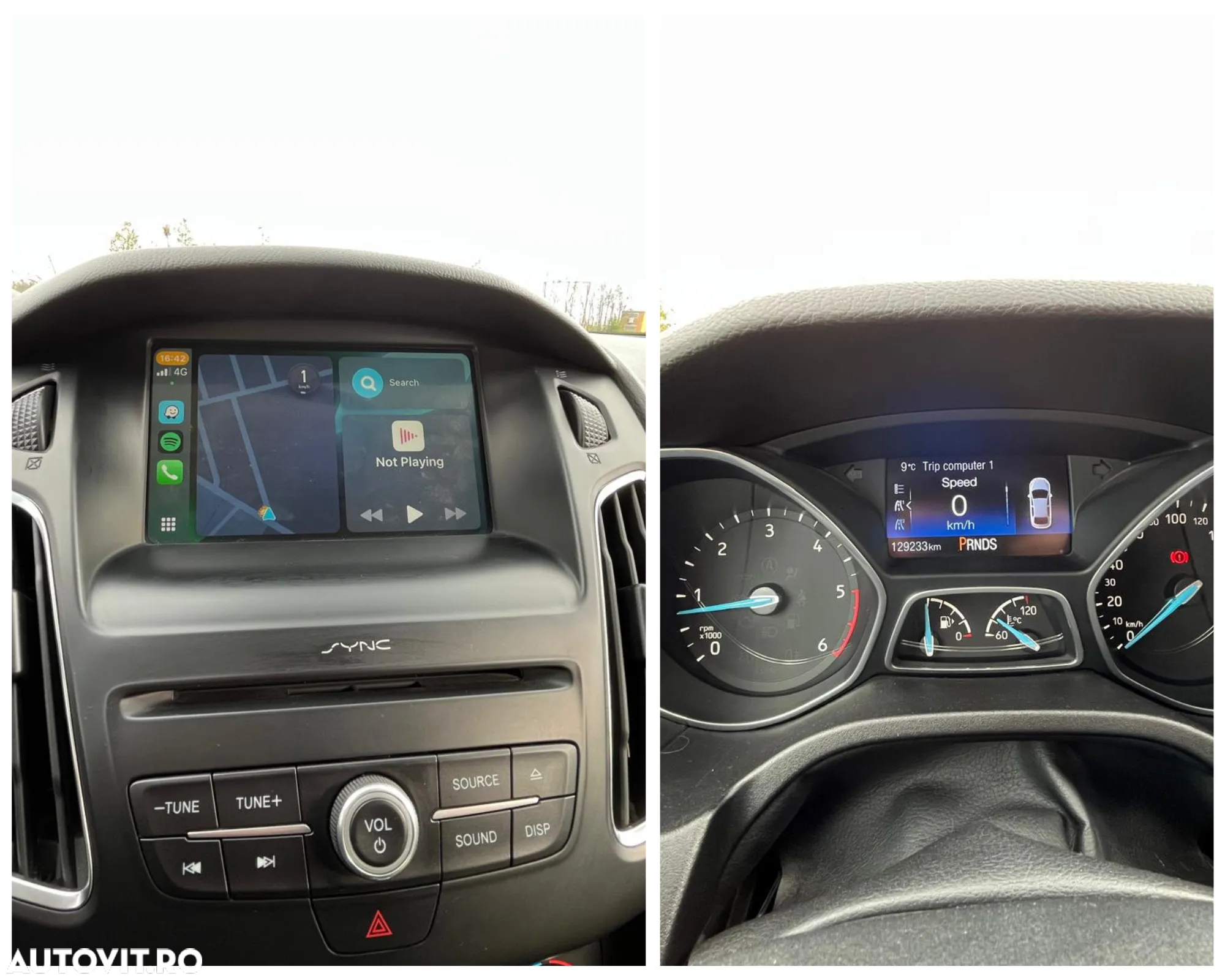 Ford Focus - 5