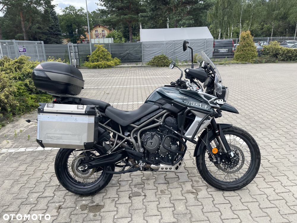 Triumph Tiger - 23