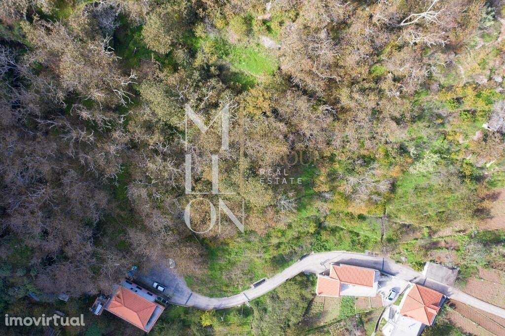 Terreno pitoresco no sítio da Fajã Escura - Grande imagem: 3/18