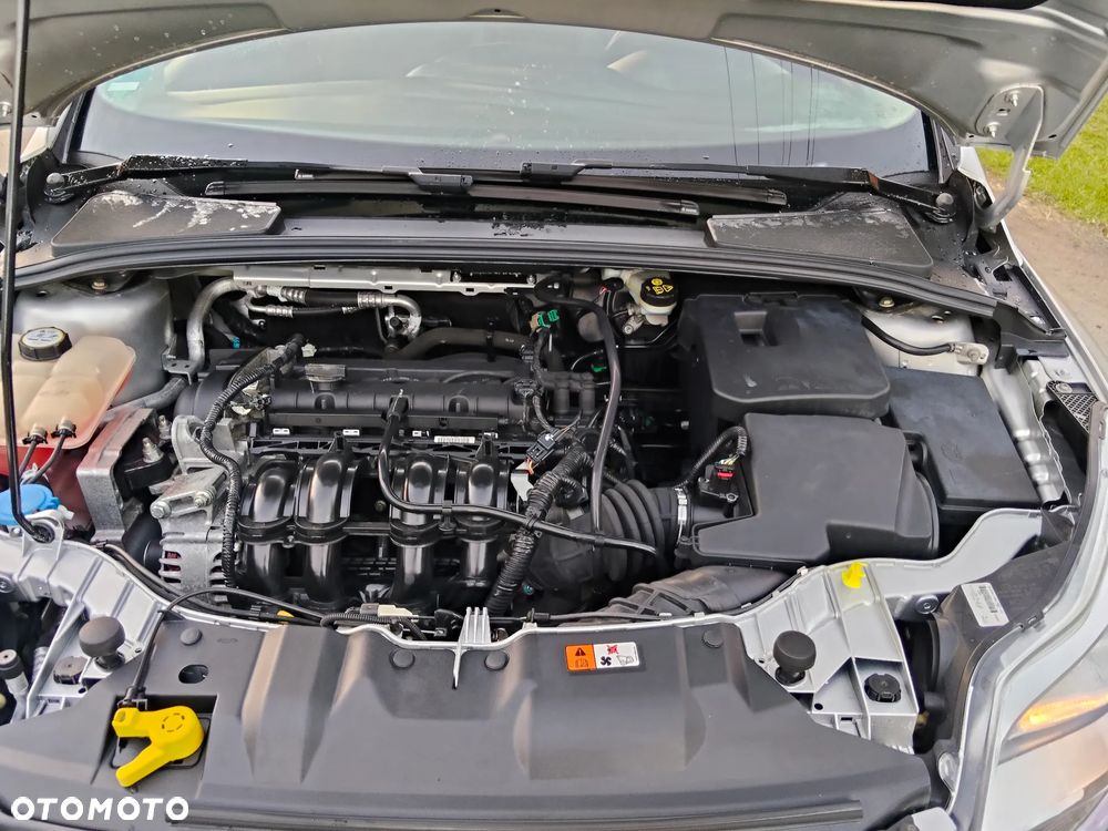 Ford Focus - 29