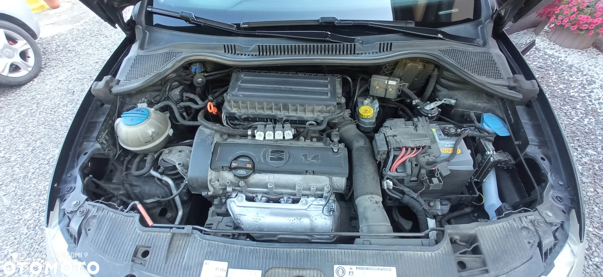 Seat Ibiza - 7