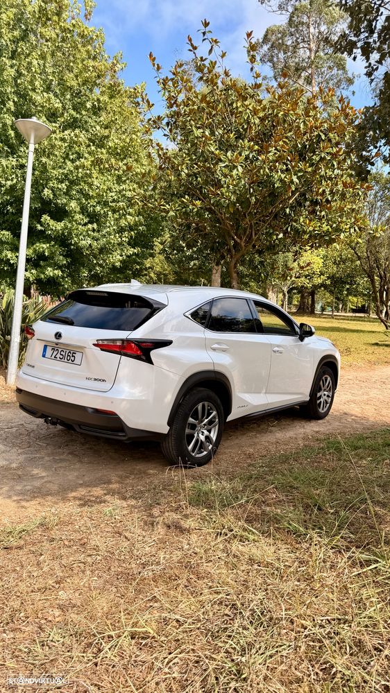 Lexus NX 300h F Sport 4WD - 7