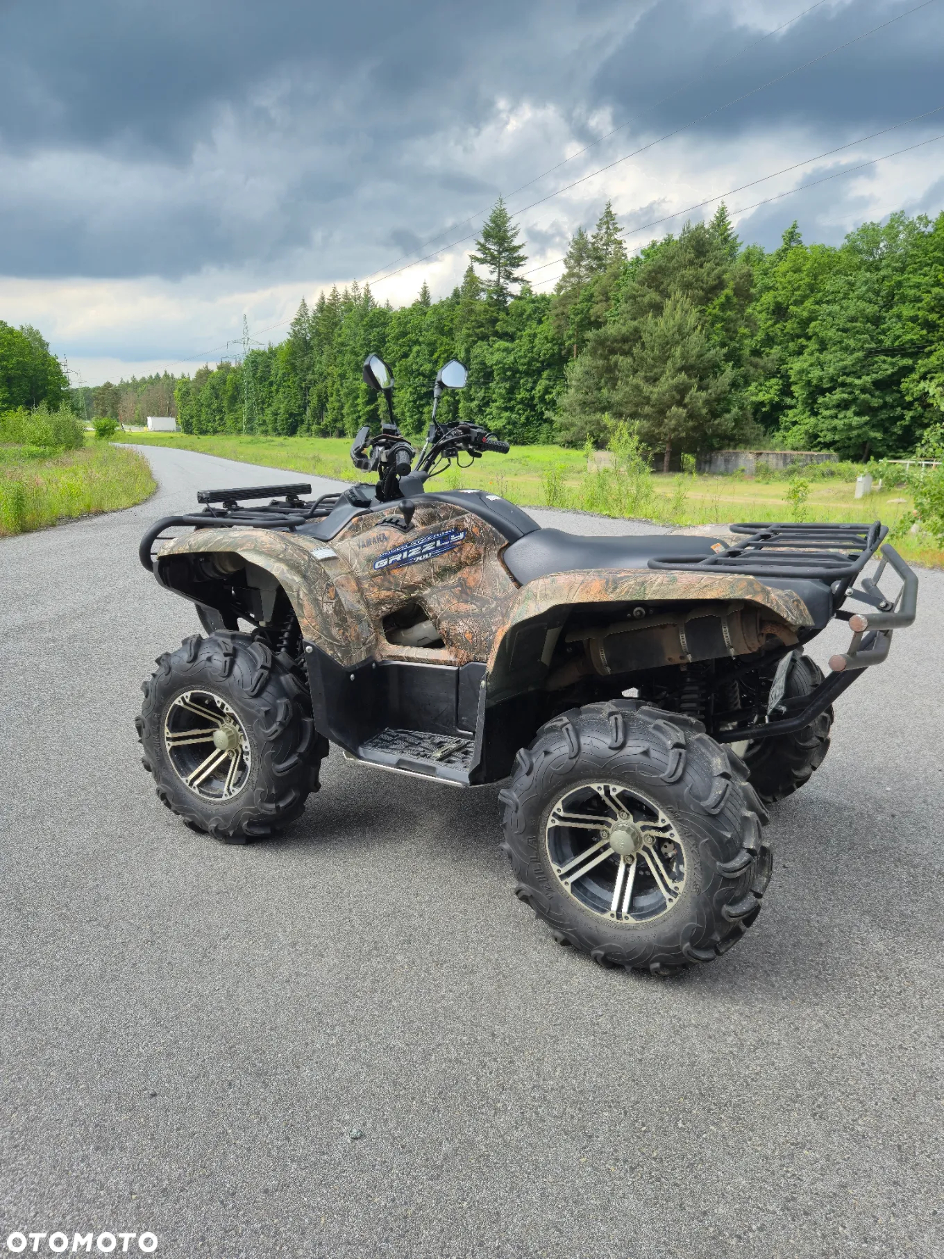Yamaha Grizzly