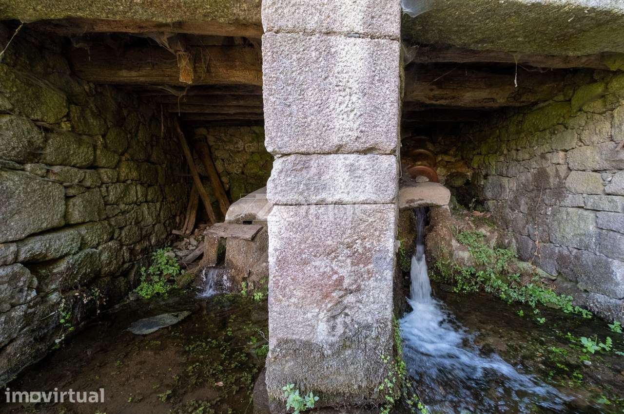 Casa de Habitação + 3 Moinhos de Água - Centro de Lamego - Grande imagem: 5/19