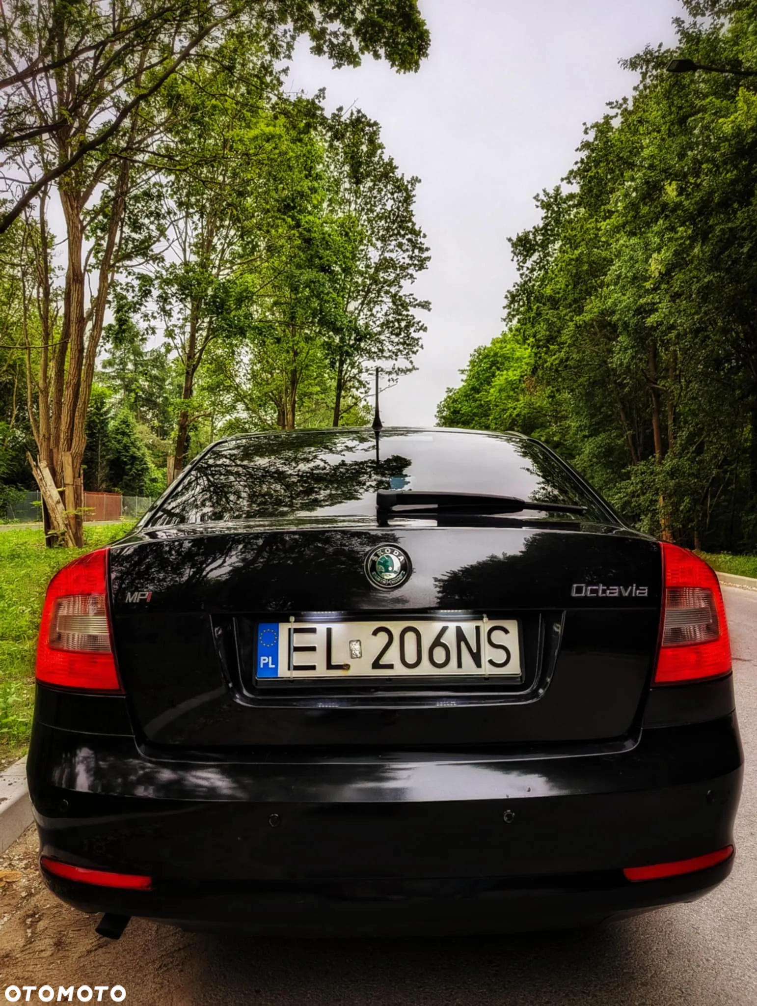 Skoda Octavia 1.6 Active - 2