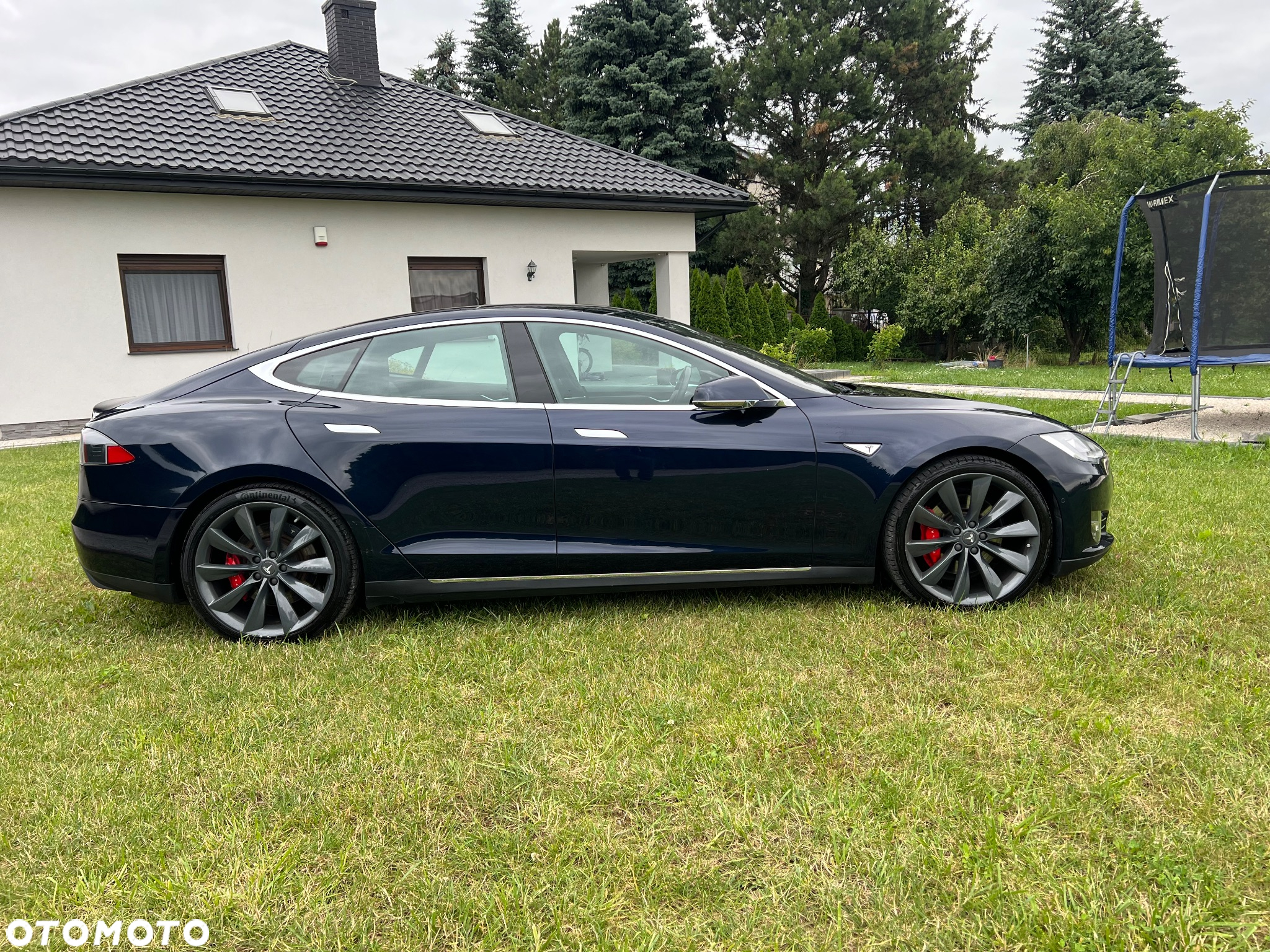 Tesla Model S Performance - 3